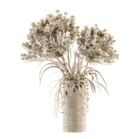 Dry plants
